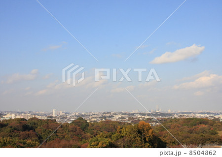 神奈川県・円海山 神奈川県・円海山 8504862