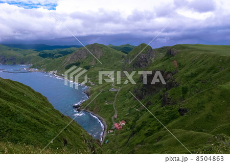 礼文島元地 8504863