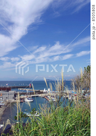葉山港と葉山マリーナ、秋の風景 葉山港と葉山マリーナ、秋の風景 8505808