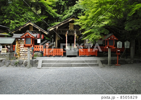 京都嵐山野々宮神社の風景 8505829