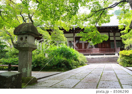 常寂光寺 本堂 常寂光寺 本堂 8506290
