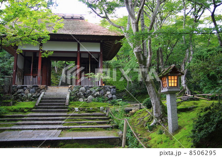 仁王門 仁王門 8506295