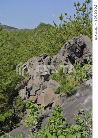 鹿児島　桜島の溶岩 8506502