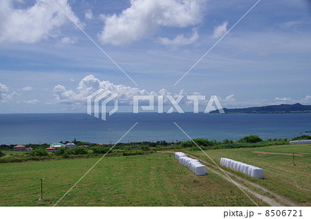 石垣島フサキ海岸 石垣島フサキ海岸 8506721