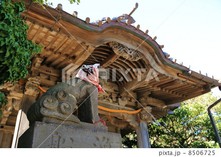 小動神社の狛犬（横） 8506725