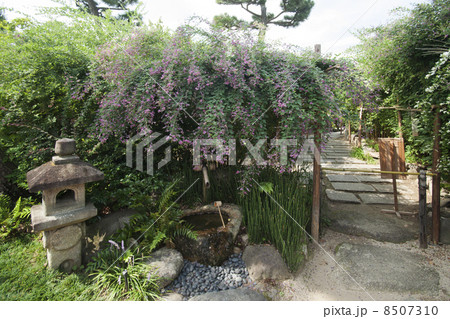 萩の寺　東光院 8507310