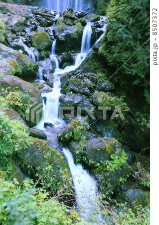 抱きがえり渓谷31 抱きがえり渓谷31 8507372