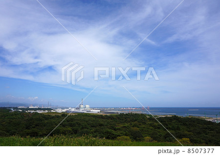 秋晴れの空と太平洋 ひたち海浜公園 秋晴れの空と太平洋 ひたち海浜公園 8507377
