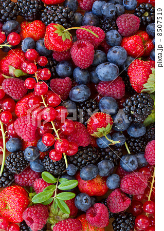 bluberry, raspberry, blackberry and red currrunt 8507519