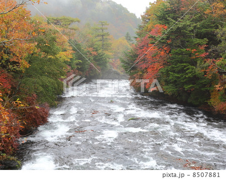 龍頭の滝　紅葉 8507881