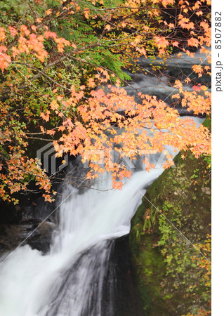 龍頭の滝　紅葉 8507882