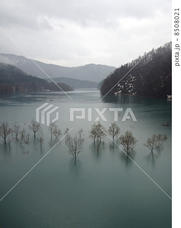 宝仙湖（縦） 8508021