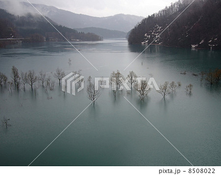 宝仙湖（横） 8508022