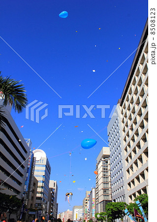 沖縄　那覇大綱挽まつり 8508123