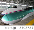 新幹線の共演 8508785