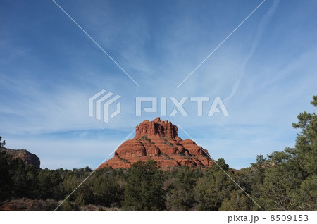 ベルロック　セドナ 8509153