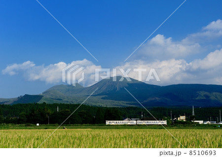 阿蘇山を背に 8510693