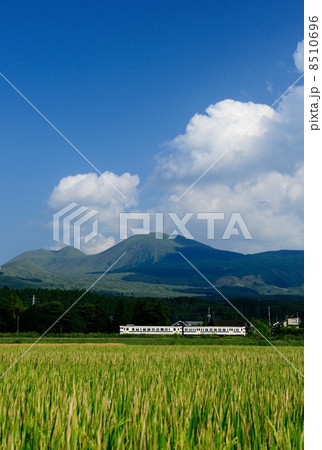 阿蘇山を背に 阿蘇山を背に 8510696