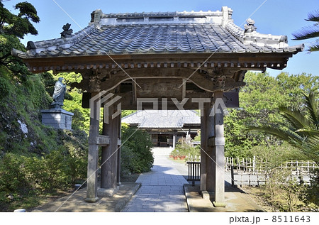 ペリーロード・了仙寺 8511643