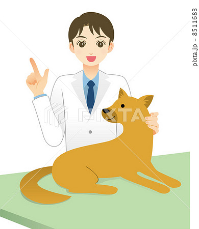 獣医 獣医 8511683