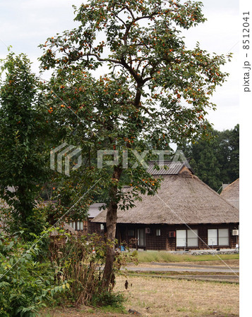 柏崎市のかやぶきの里 柏崎市のかやぶきの里 8512041