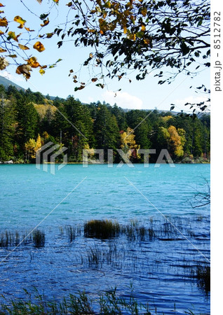 オンネトー オンネトー 8512782