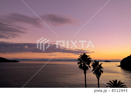 坂手港の夕暮れ 坂手港の夕暮れ 8512945