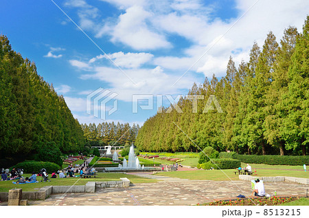 相模原公園 8513215