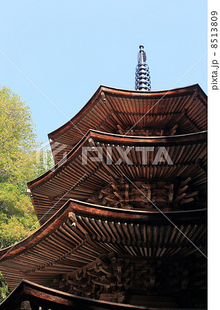 信州最古の禅寺　安楽寺 8513809