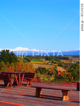 深山峠 深山峠 8514228