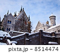 冬のノイシュヴァンシュタイン城 8514474