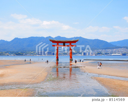 干潮時の厳島神社 大鳥居 8514569