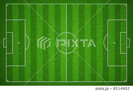 Soccer sport grass playground. Football field or pitch or stadiu 8514902