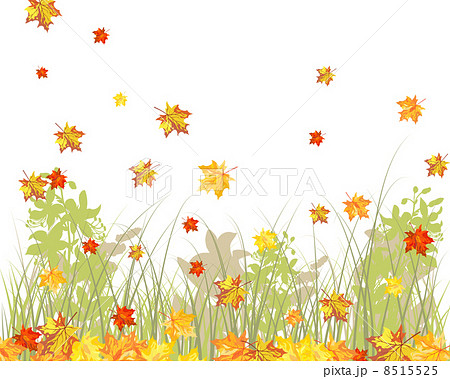 Meadow autumn background 8515525