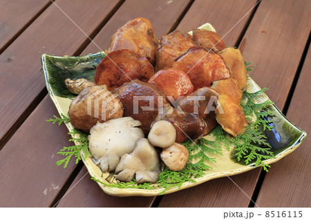 キノコ（ハナイグチ、アミハナイグチ、シロヌメリイグ、 ヒラタケ） 8516115