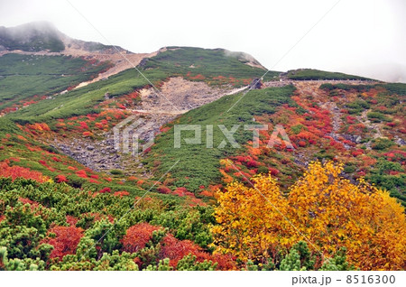 乗鞍岳 2013 秋 乗鞍岳 2013 秋 8516300