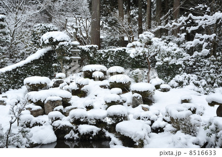京都 三千院の冬 京都 三千院の冬 8516633