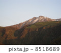 鳥海山・山頂 8516689