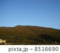 鳥海山・紅葉 8516690