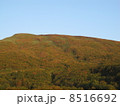 紅葉・鳥海山 8516692
