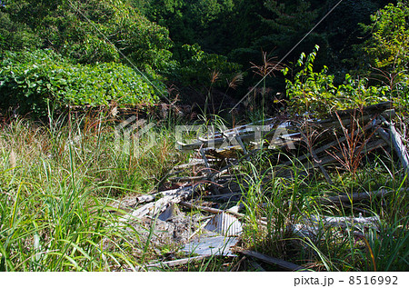 増える耕作放棄地 8516992