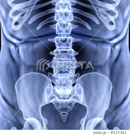 torso 8523361