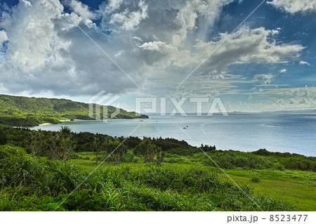 御神崎からの眺望 御神崎からの眺望 8523477