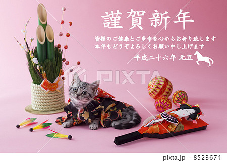 14年賀状デザイン素材 子猫の写真素材