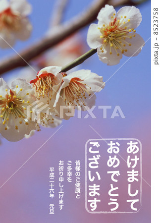 2014年賀状デザイン素材-梅 2014年賀状デザイン素材-梅 8523758