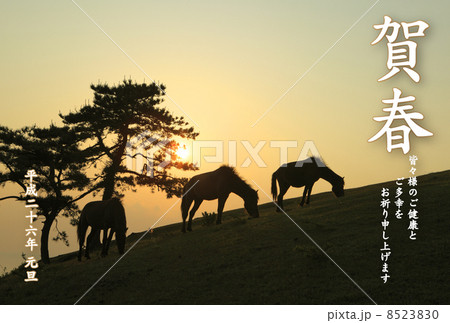 2014年賀状デザイン素材-馬 8523830