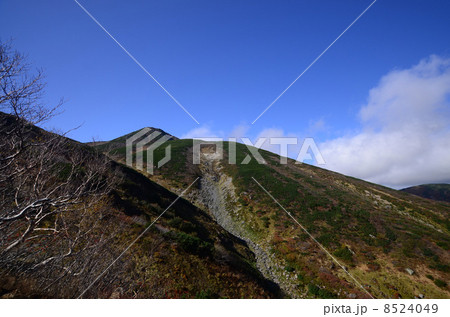 秋の白山 8524049