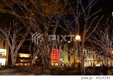 表参道のイルミネーション 8524293