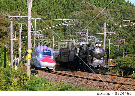 Ｅ６系　Ｃ６１並走　奥羽本線を疾走する新旧車両たち 8524469