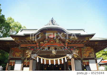 秩父神社 8525044